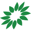 verzii.ro
