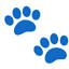 1st-replacement-windows.com