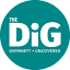 diggwinnett.com