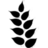 grain.org