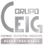grupoceig.com.mx