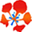 haiphonginfo.vn