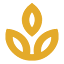 molare.co.za