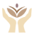 plasticsandderm.com