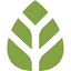 reforesta.es