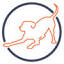 caninearthritis.org