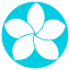 centrolinfodrenante.com