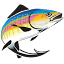 frontierflyfishing.co.za