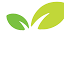 salamancafresh.com.au