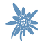 skihotel-edelweiss.at