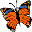 svgdesigns.com