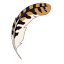 wildintrigue.co.uk