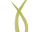 yellowgrass.org