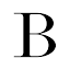 baron-baron.com