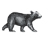 bearpwr.com