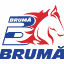 bruma.ro