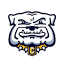 chelseabulldogs.net