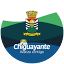 chiguayante.cl