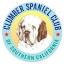 cscsc.org
