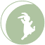 dancingrabbit.org