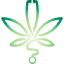 dralzamora.com