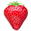 goroduspeha.com