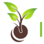 ibogasales.com