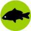 karp-fishing.ru