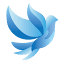 thebluedovefoundation.org