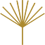 wedhawaii.com
