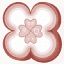 animonlife.com