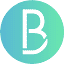 baskdigital.com