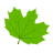 brico-forest.fr