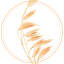 driftwoodanddecor.com