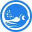 sqquid.com
