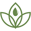 ssseeds.com