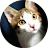 takaiwa.net