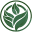 thehcginstitute.com