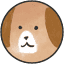 worldanimalsapp.com