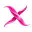 xantino.com