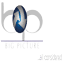 bigpictureresources.com