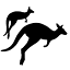 bruderx.com