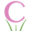 carithers.com