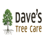 davestreeandlandscaping.com