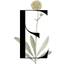 erintremblay.ca