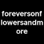 foreversonflowersandmore.ca