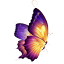 hawaiirama.com