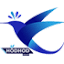 hodhodsms.com