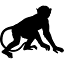 monkeydigital.co