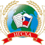 nnsaa.ru